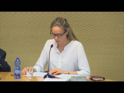 Ineffability and its Metaphysics | Book presentation by the author: Dr. Silvia Jonas