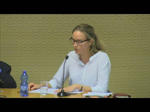 Ineffability and its Metaphysics | Commentary by: Dr. Olla Solomyak