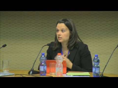 Instability, Crisis and Emergency in the Mediterranean | Open Discussion