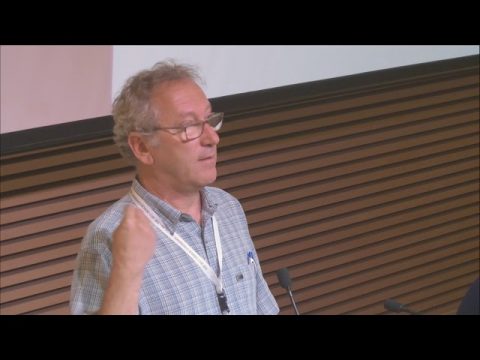 Is Lev Tahor a Destructive Cult? | Gabriel CAVAGLION