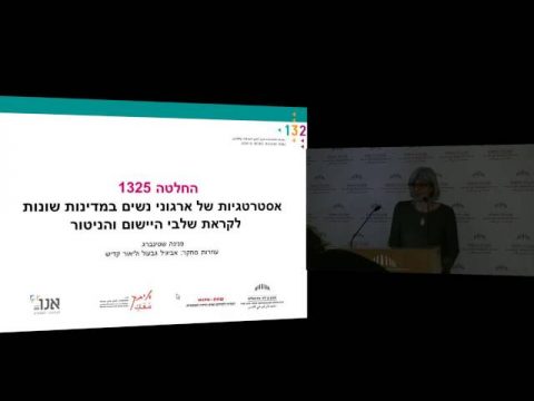 מבט משווה על אסטרטגיות של ארגוני נשים | ד״ר פנינה שטינברג