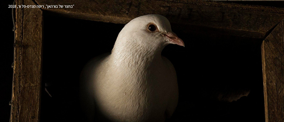 האם יש עוד מקום לתיקון עולם?