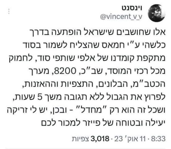 צילום מסך מתוך טוויטר: @vincent_v_v