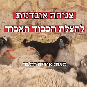 צניחה אובדנית