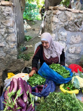 בלדי שיק: ביוגרפיה פוליטית וגבולות טעם המקום בישראל/פלסטין