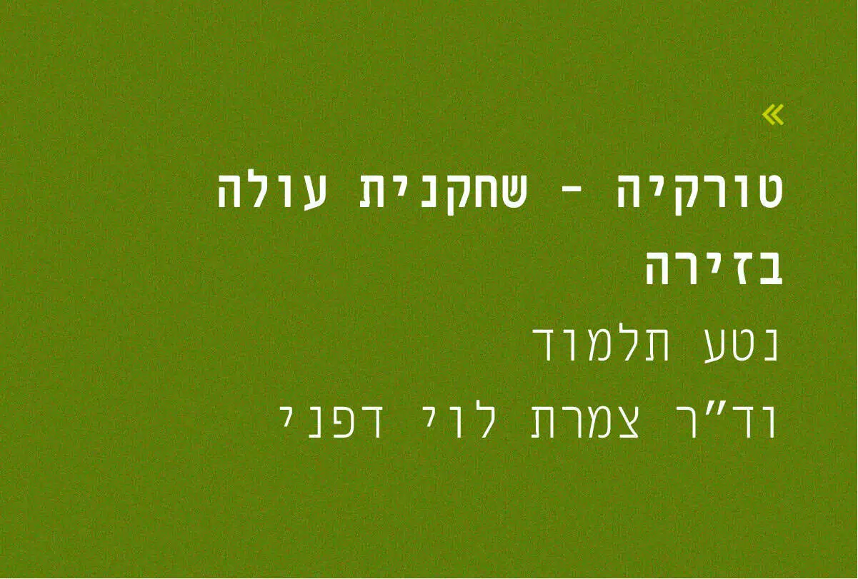 بعد أن وضعت الحرب أوزارها: تركيا-...