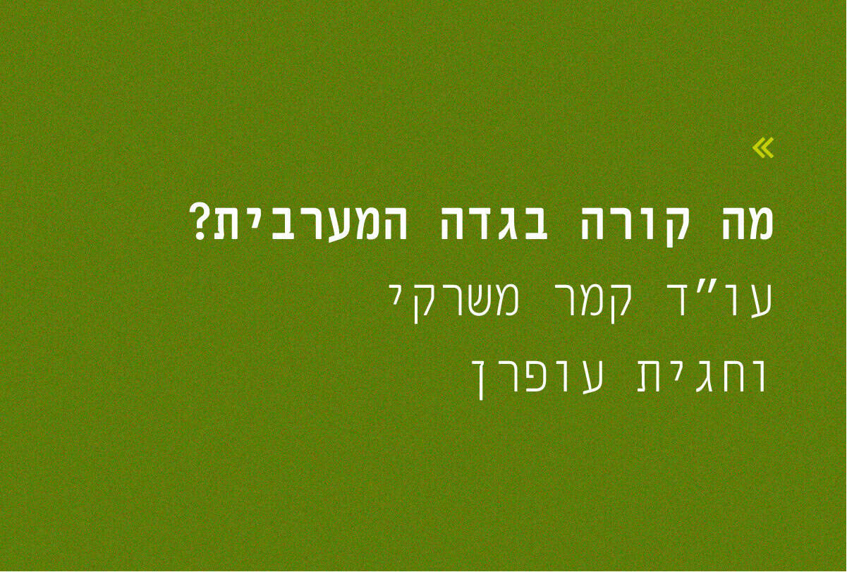 What Is Happening in the...