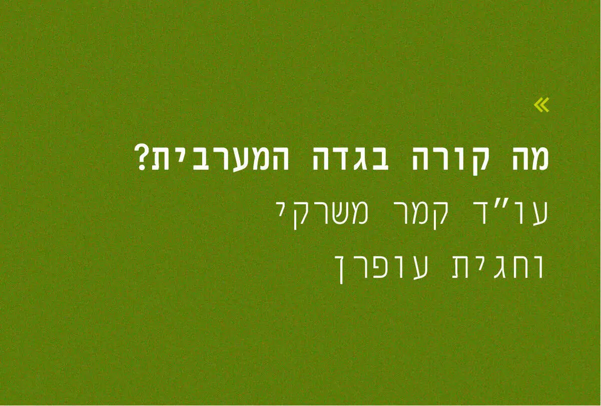 What Is Happening in the...